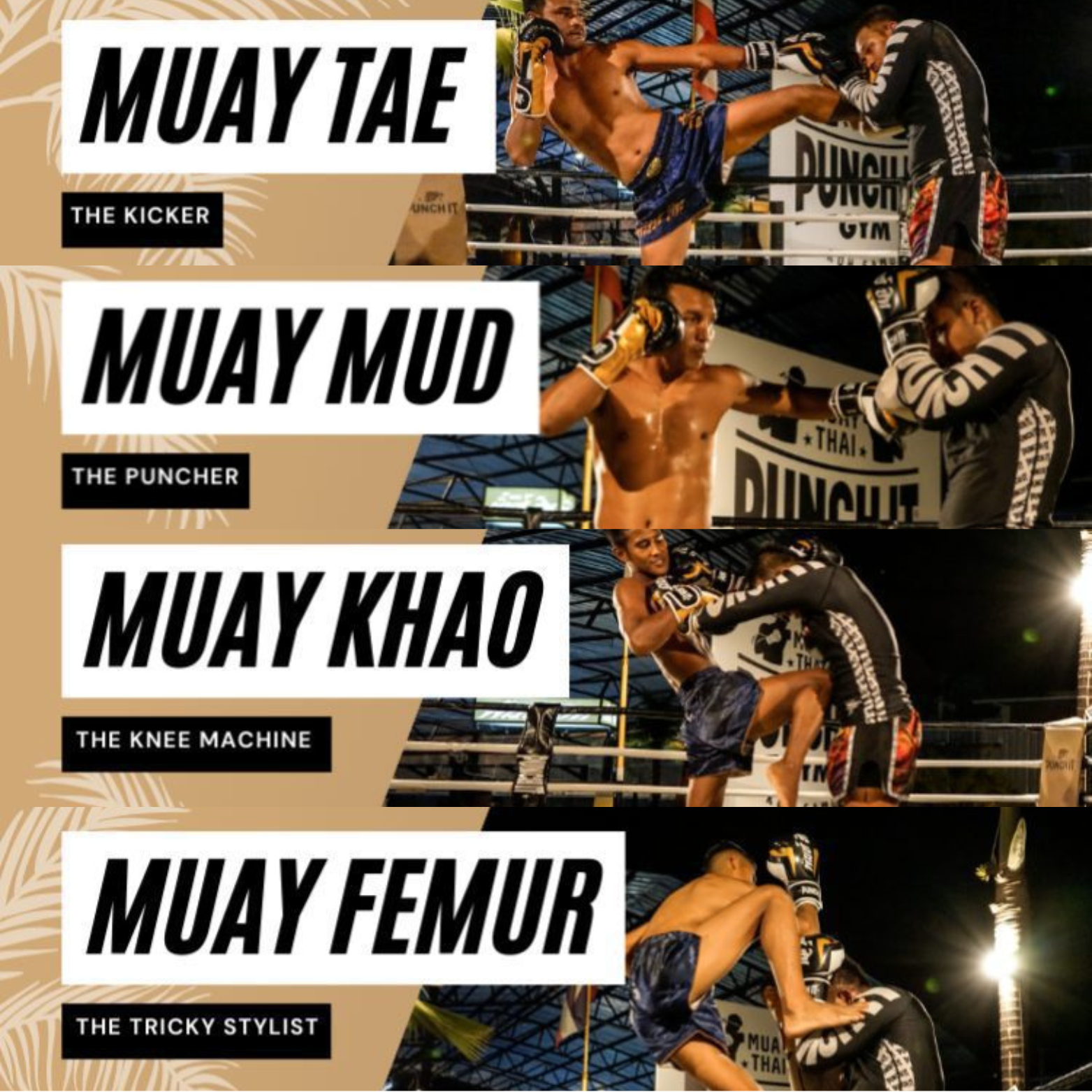 Unveiling the Art of Muay Thai: Exploring Different Fighting Styles