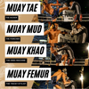 Unveiling the Art of Muay Thai: Exploring Different Fighting Styles