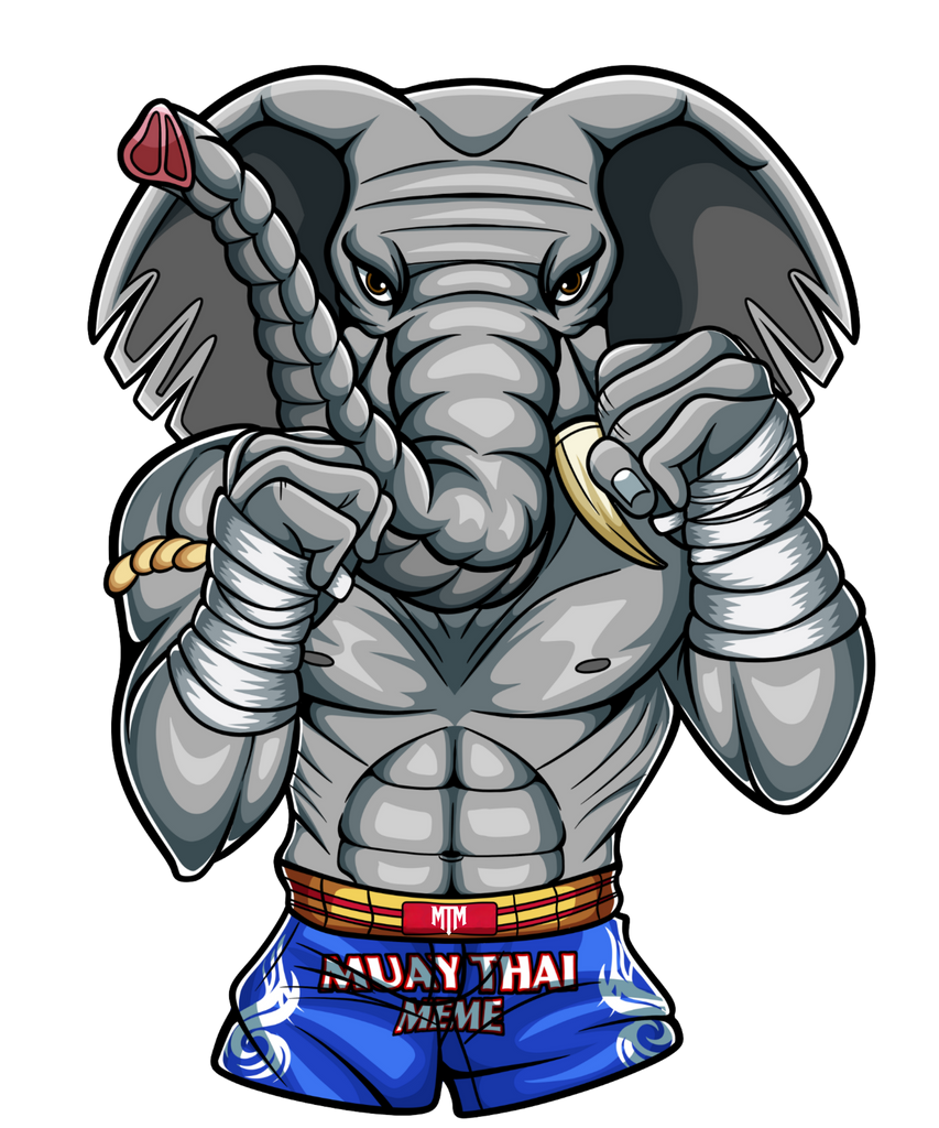 Big News: Muay Thai Meme x Muay-Thai.shop