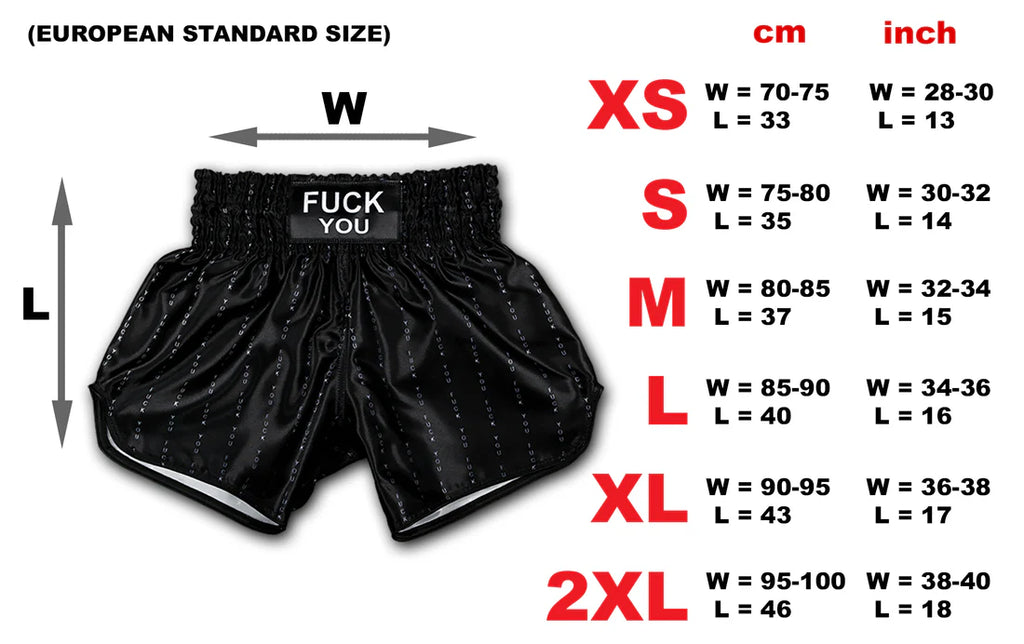 F*CK YOU Pinstripe Muay Thai Boxing Shorts